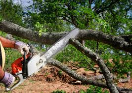 Best Landscape Design and Installation  in Inman, SC