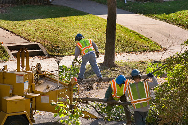 Best Tree and Shrub Care  in Inman, SC