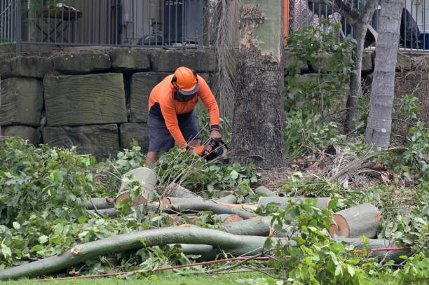 Leaf Removal Services in Inman, SC